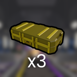 Skin Case 2 [x3]